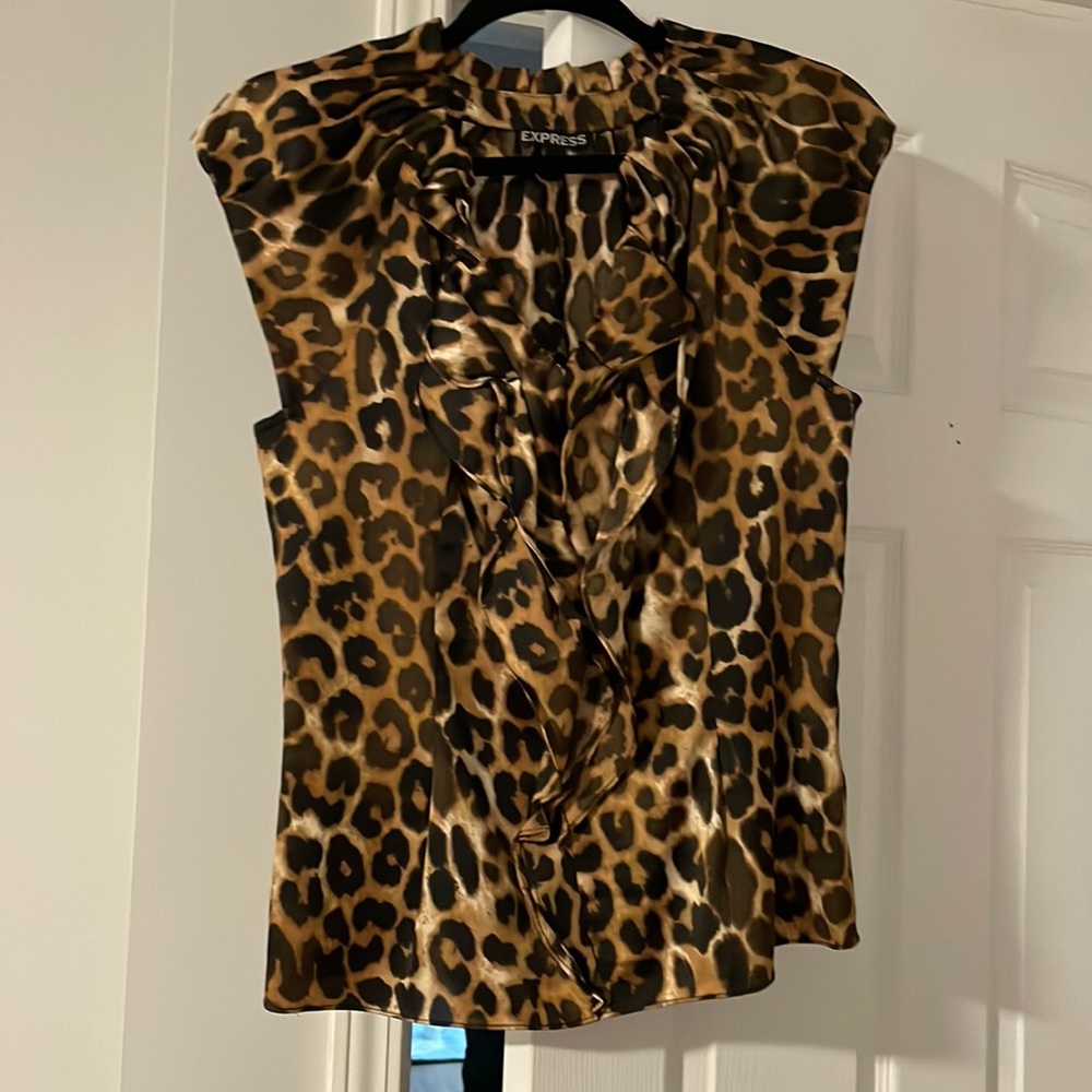 Express dress blouse